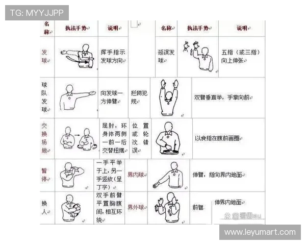 深入分析裁判手势规则具体指向帮助观众准确识别比赛违例犯规